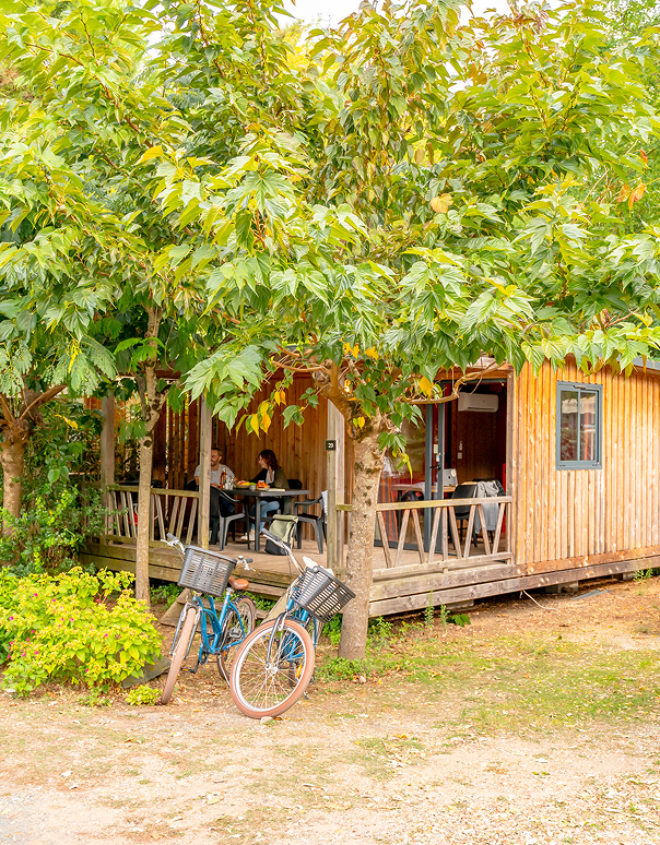camping fougere ushuaia image section hebergements grand format