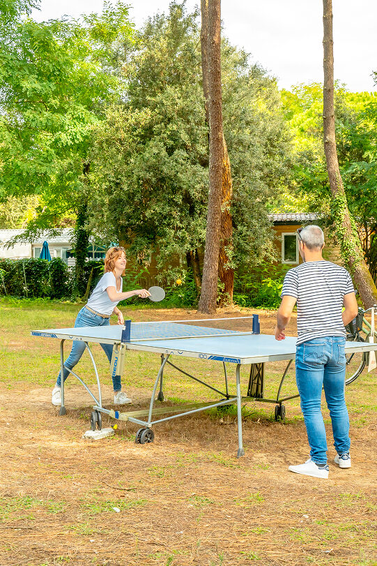 camping fougere ushuaia image section services ping pong grand format