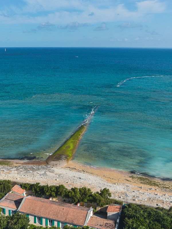 île de ré (8)