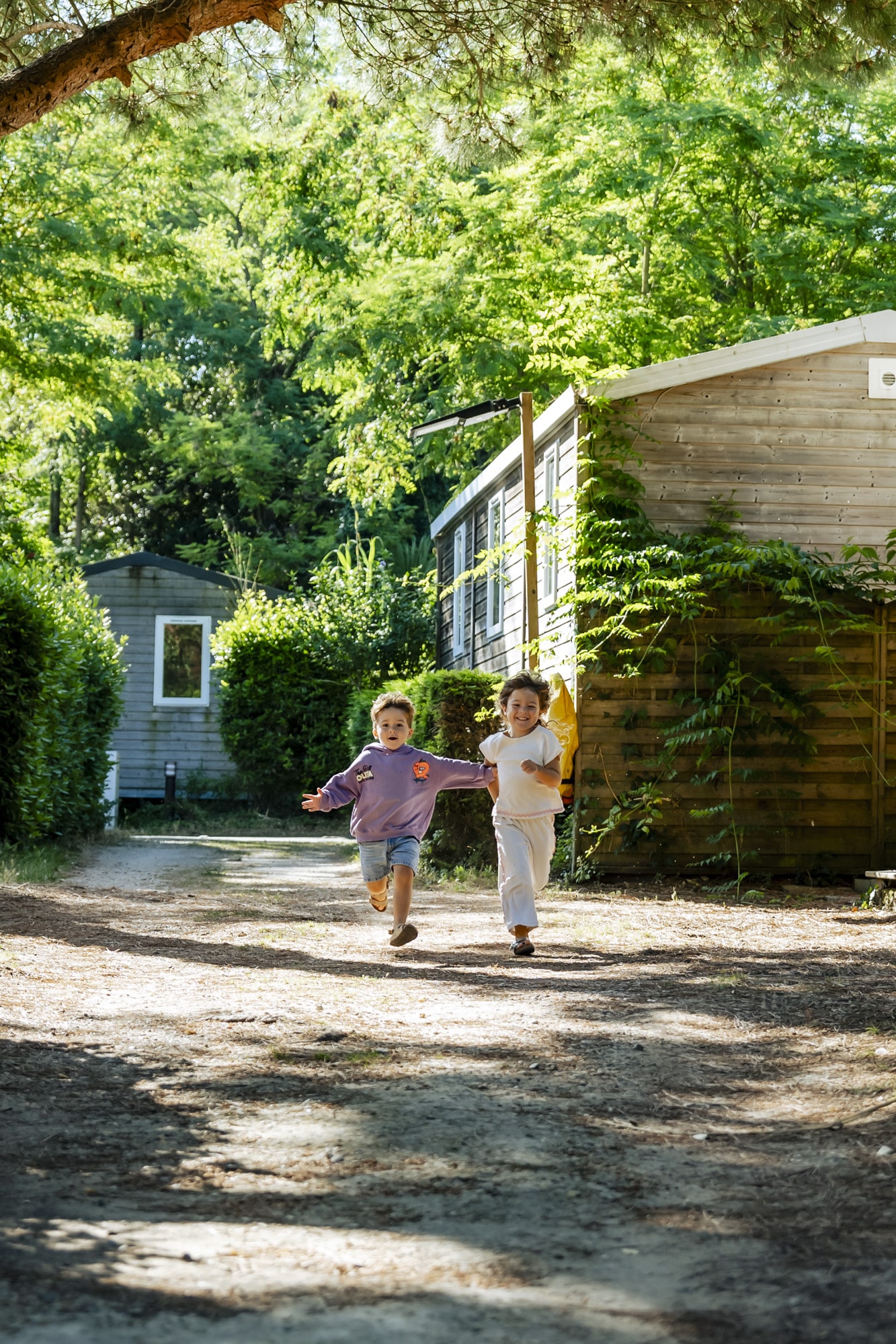2026.06.17 shooting camping les fougères@pierre chambion web 7408392 copie